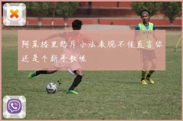 阿莱格里怒斥小法表现不佳直言你还是个新手教练