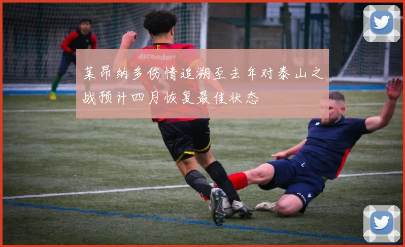 莱昂纳多伤情追溯至去年对泰山之战预计四月恢复最佳状态