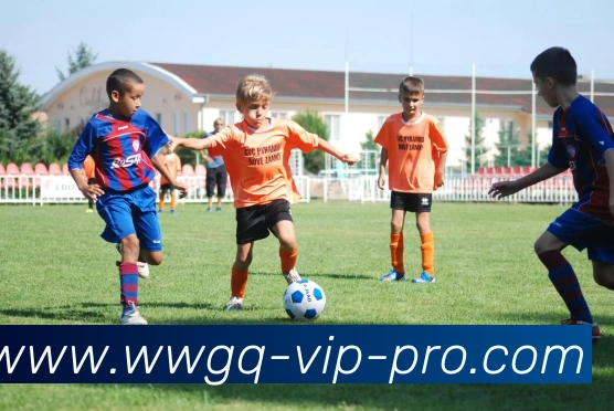 外围滚球平台发展历程